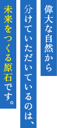 偉大な自然からわけていただいているのは未来をつくる原石です